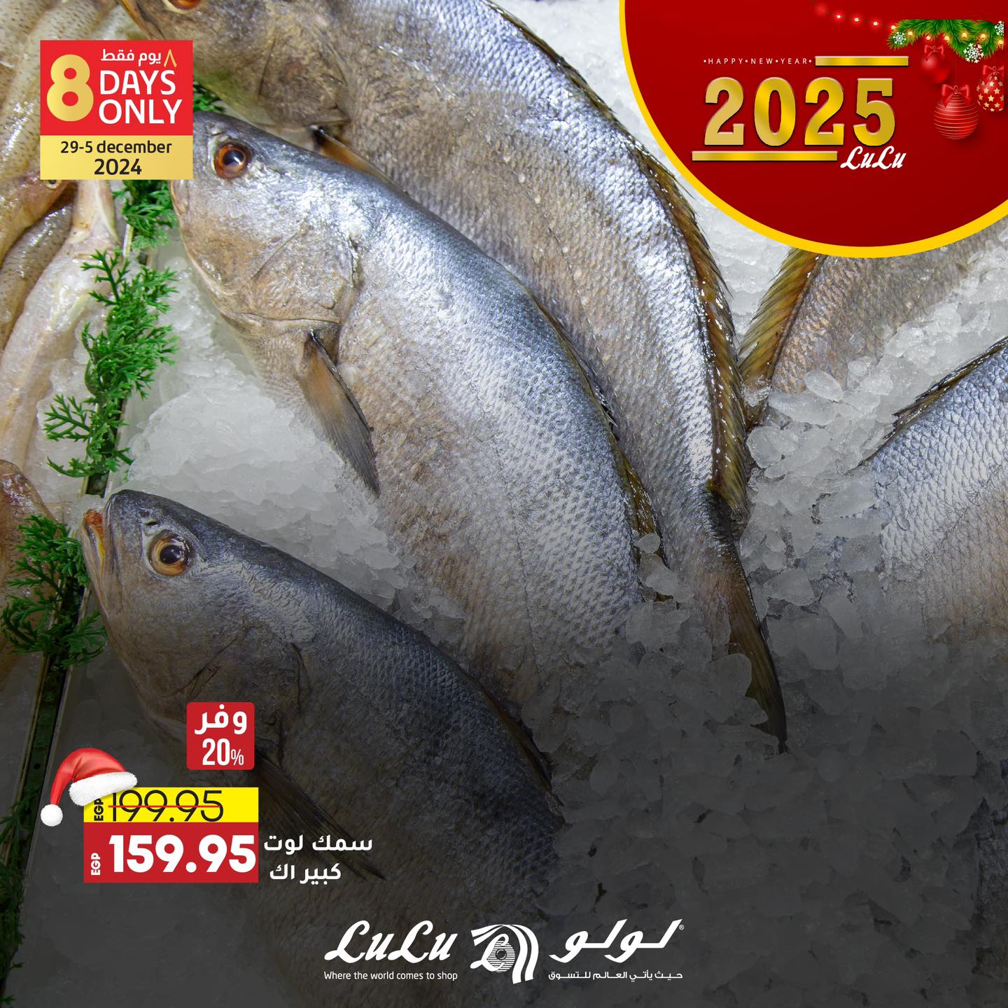 lulu-hypermarket offers from 29dec to 31dec 2024 عروض لولو هايبر ماركت من 29 ديسمبر حتى 31 ديسمبر 2024 صفحة رقم 5